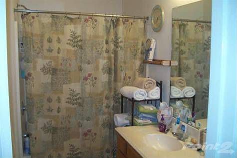 4th image of 308 Celia Cir