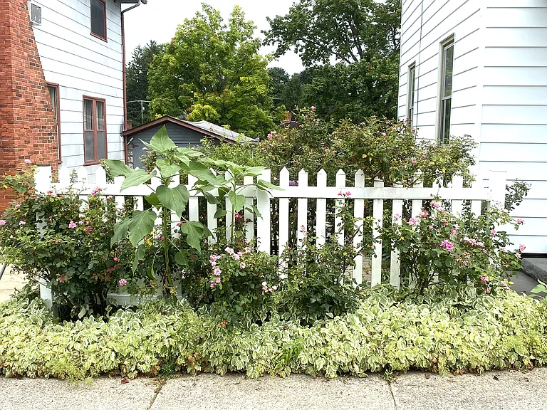 235 E Lamb St — Photo 11