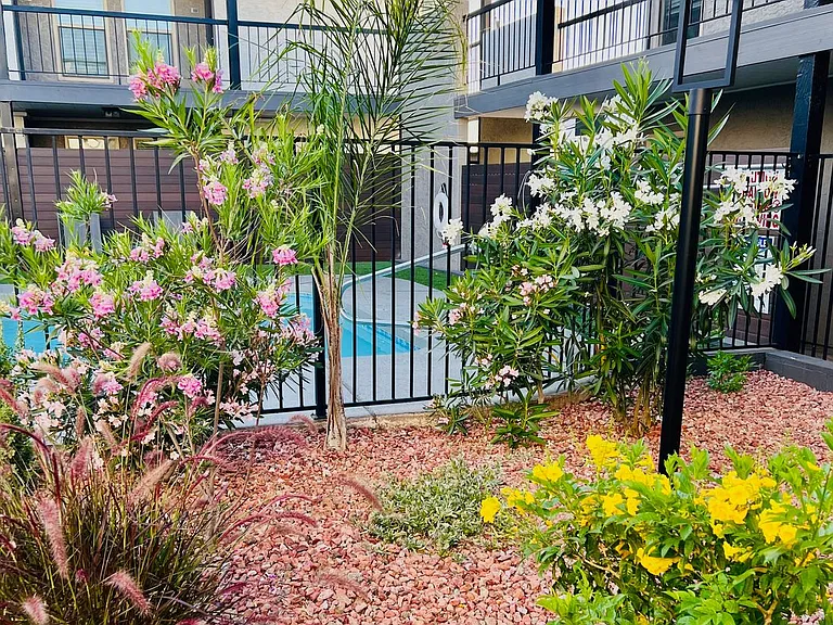 Arcadia Flats — Photo 9