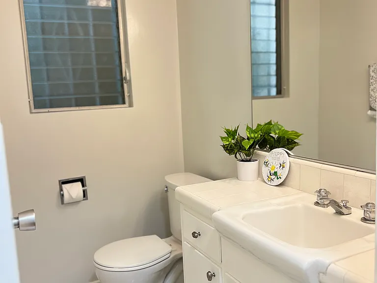 Downstairs guest bathroom