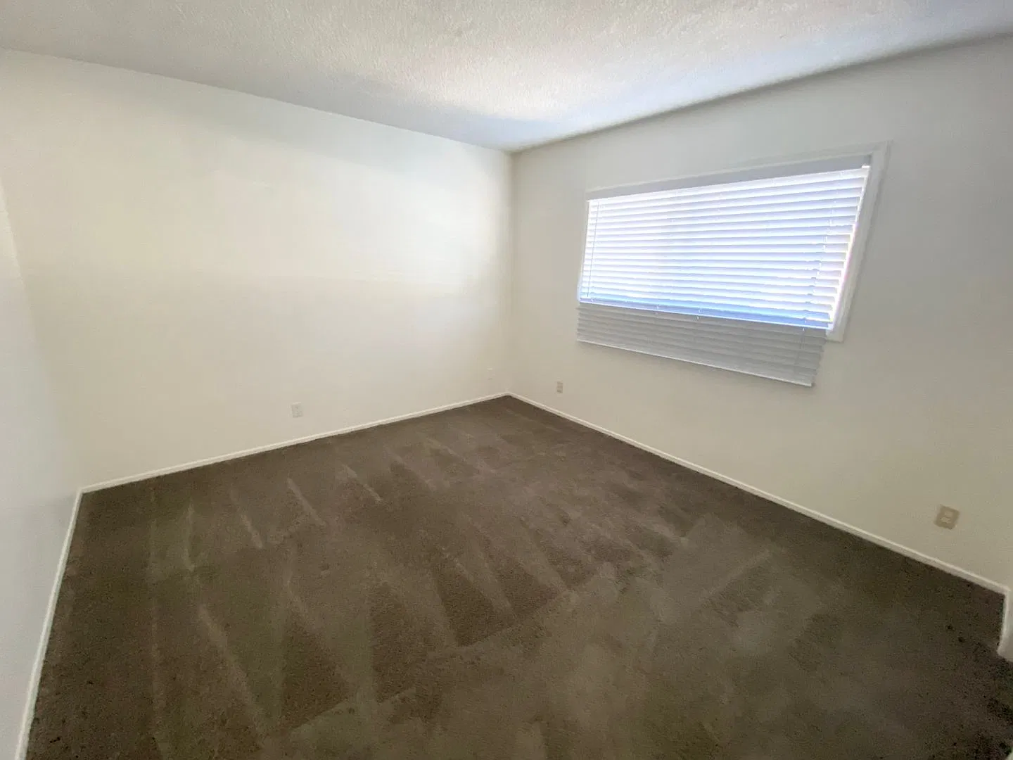 Amazing 1 bedroom unit in Dana Point — Photo 4