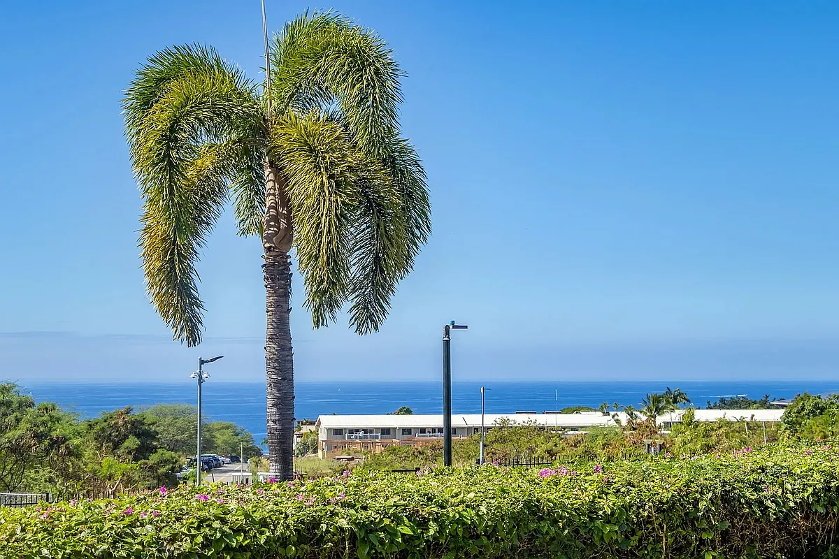 Building Photo - Hualalai Rd