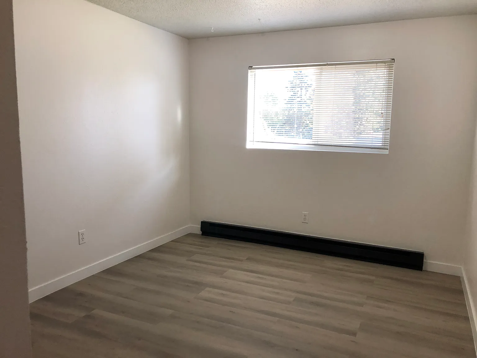 3 bed, 1.5 bath, 1200 sqft, $1,800 — Photo 4