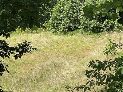 Humphreys Rd, Morgantown, WV, 26508