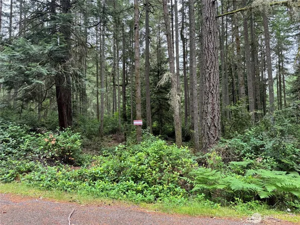 11308 114th Street Ct, Anderson Island, WA 98303