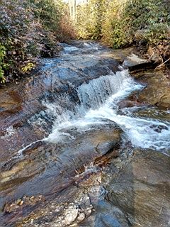 1st image of 406 Rushing Brook Lane