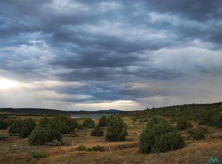 Shroyer Dr, Los Ojos, NM 87551