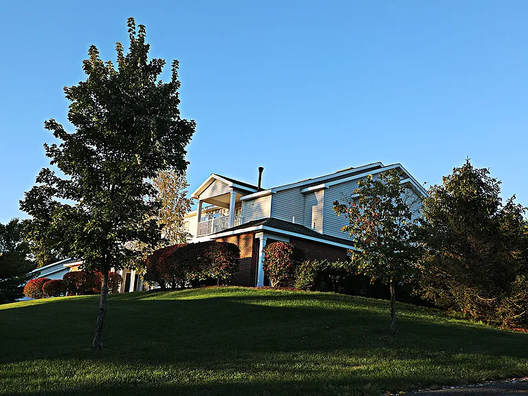 The Woodlands — Photo 10