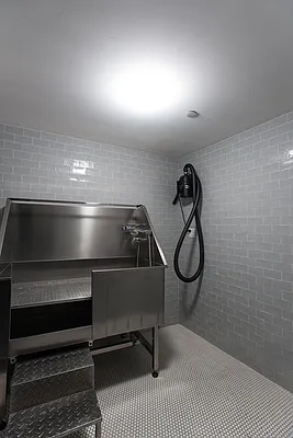 Rented by Mishkan Group | media 37