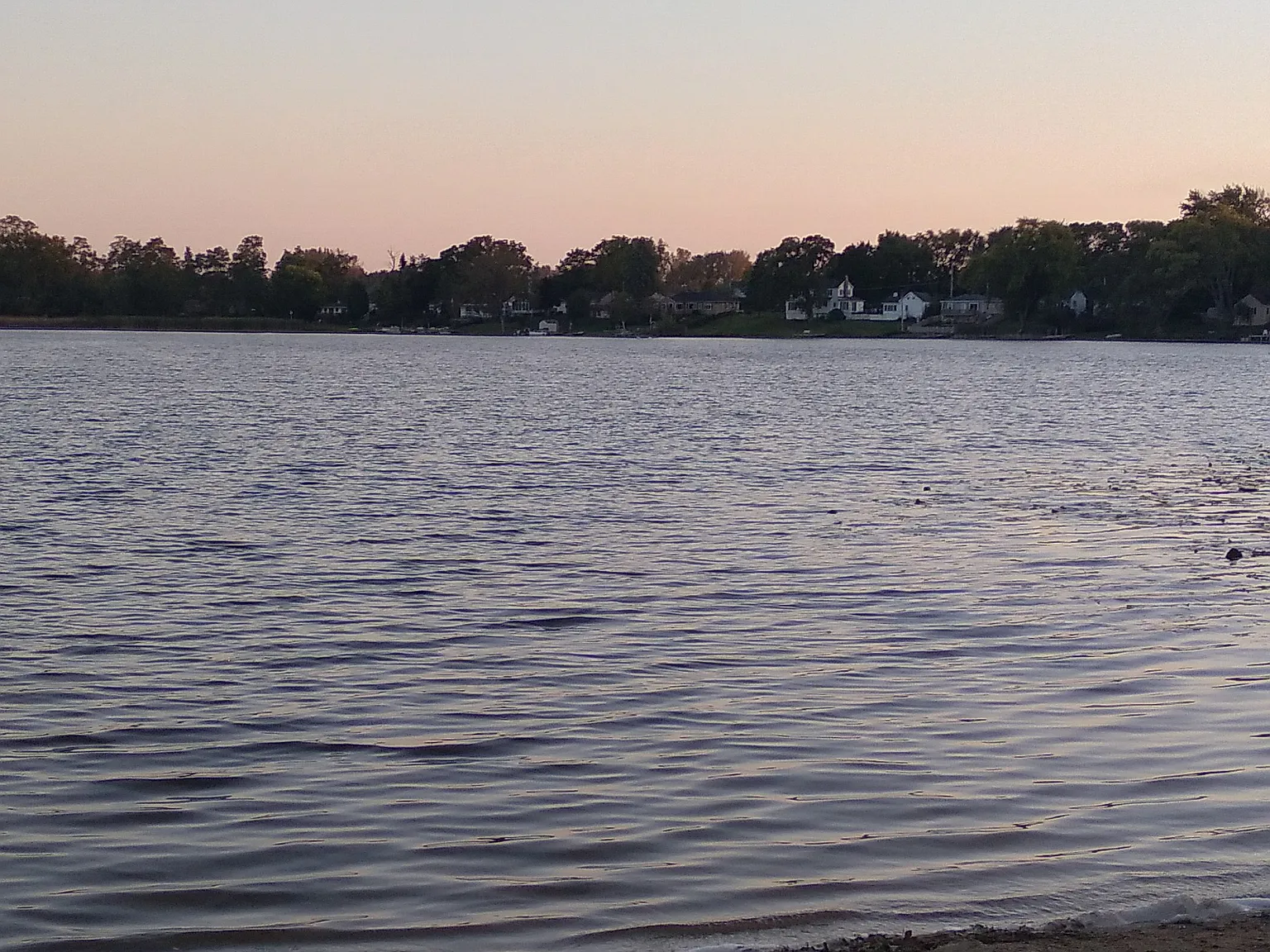 1 bed, $1,000 — Photo 4