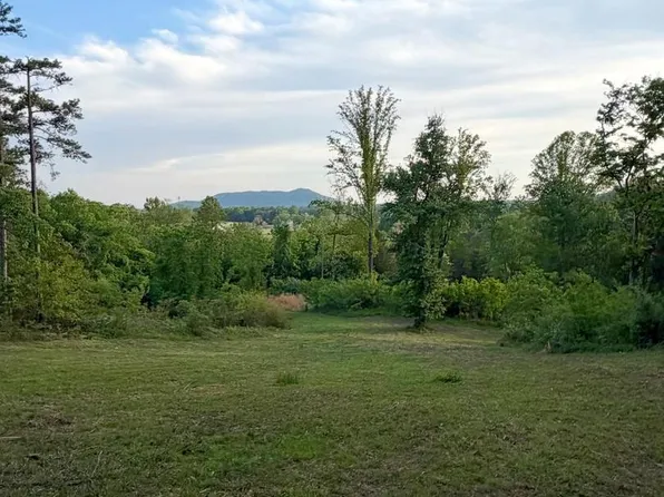 Reva Rd, Reva, VA 22735