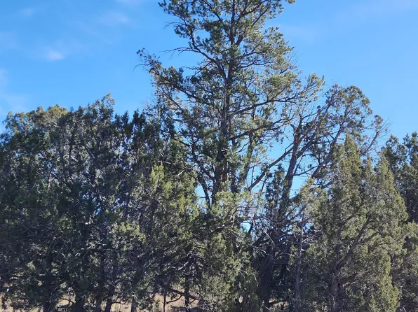 153 Juniper Woods, Ash Fork, AZ 86320