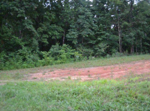 5th image of 23/AC Pea Ridge Fire Tower Rd