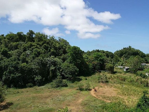 4th image of Bo Dominguito Sector