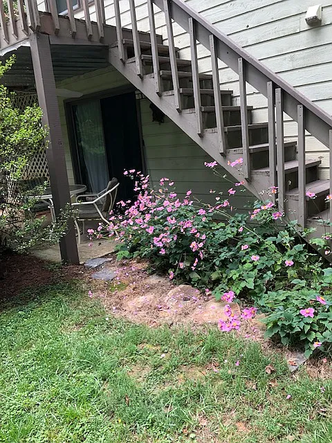1 bed, 750 sqft, $1,500 — Photo 3