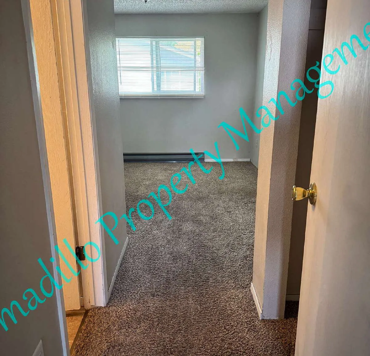 3 bed, 1.5 bath, $1,550 — Photo 2