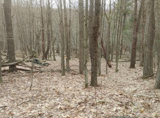 135 Black Ash Swamp Rd, Unadilla, NY 13849