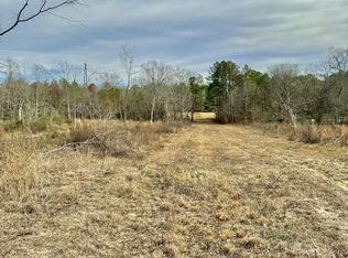 140 Sawmill Rd, Braxton, MS 39044