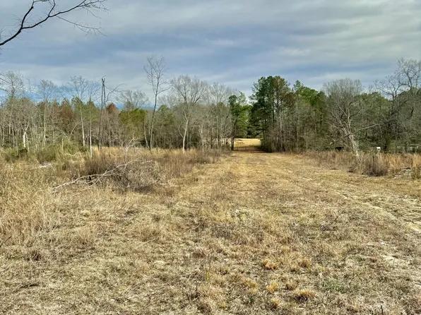 140 Sawmill Rd, Braxton, MS 39044