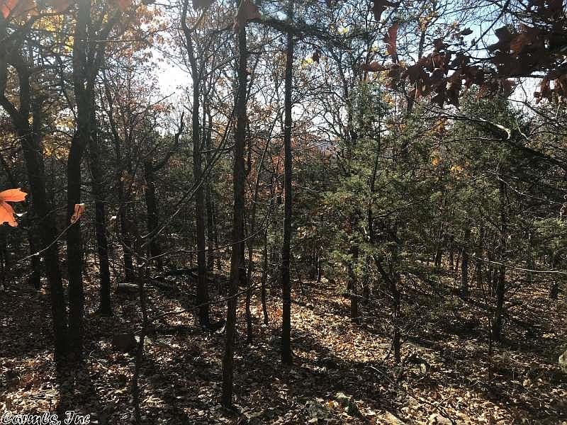 1st image of Haywood Ln