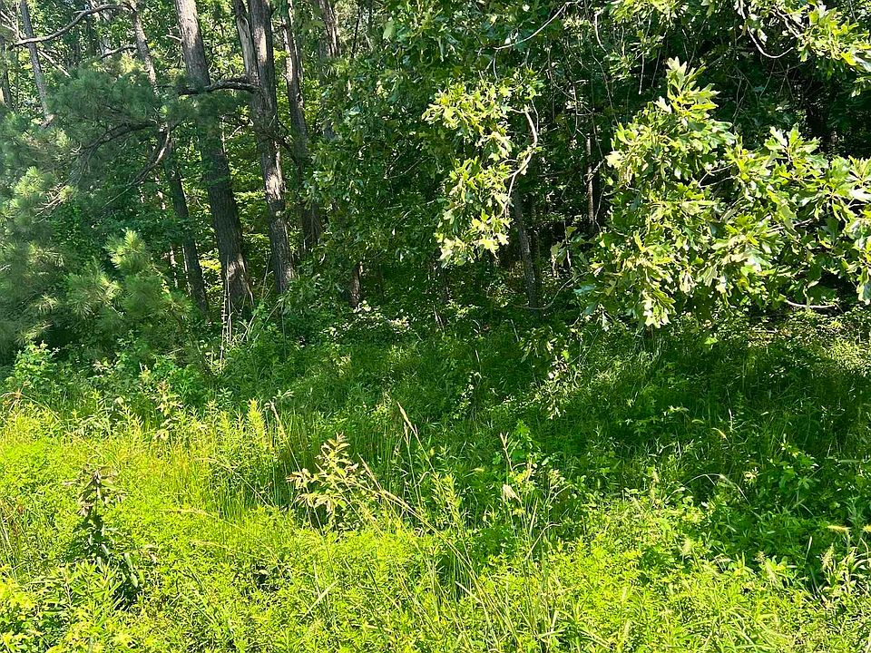 2nd image of 0 Tract B Hwy #270