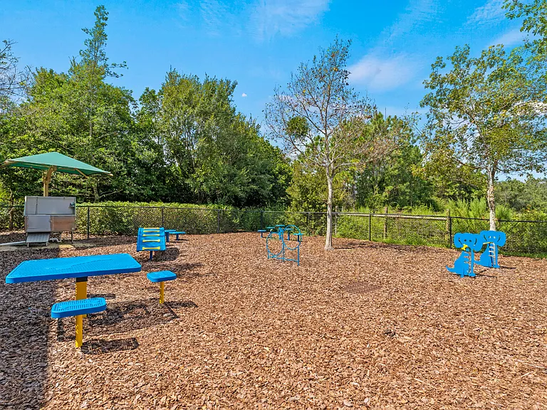 Carlyle at Bartram Park — Photo 14