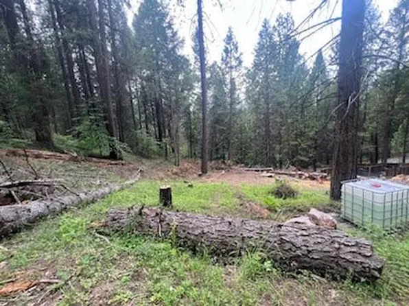 4864 Arctic Ln, Grizzly Flats, CA 95636