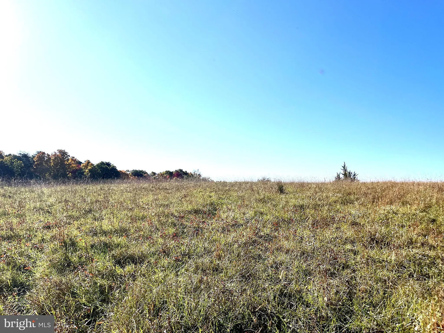 14522 Bain Rd photo 1