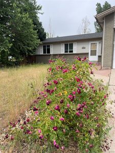 3082 S Joplin Court, Aurora, CO, 80013