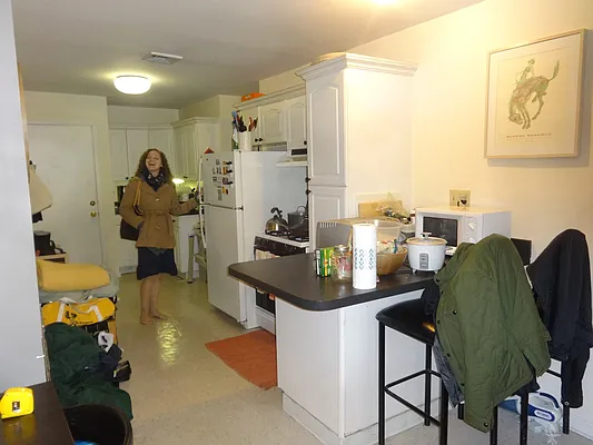 Rented by Blue Egg Realty Corp | media 25