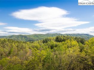 Ladys Mantle Ln, Ferguson, NC 28624