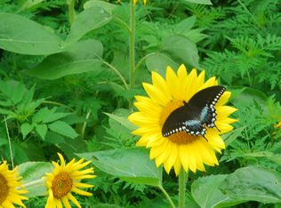 00 Penny Rd, Franklin Twp, OH 45120