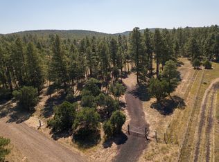 807 Pine Meadow Ln, Show Low, AZ 85901