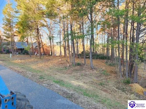 609 Paulette Way, Falls Of Rough, KY 40119