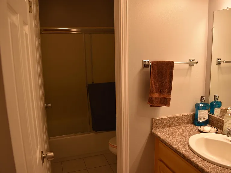 Palmetto Dr — Photo 7