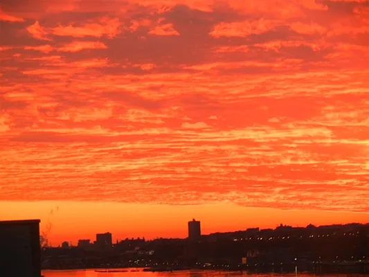 Sold by Corcoran | media 8