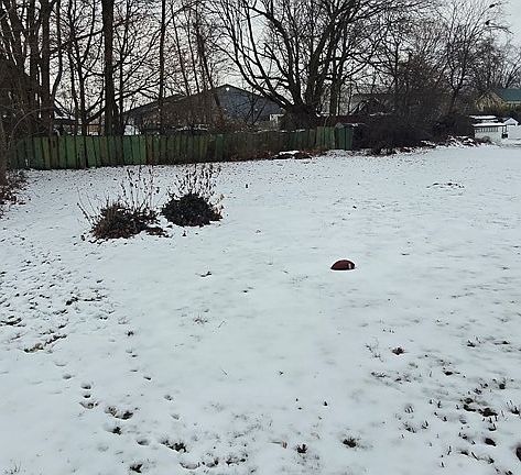 3rd image of 1210 Cottage St