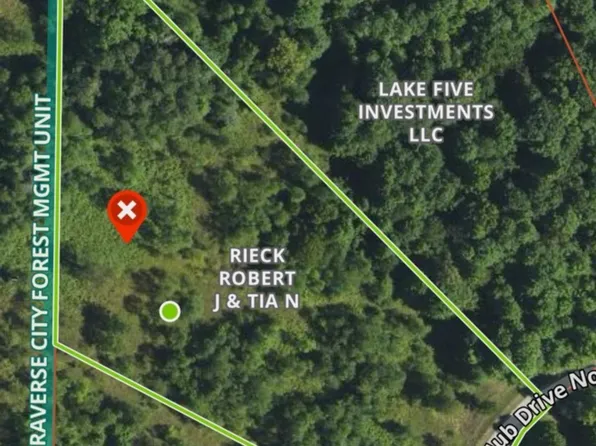 171 Kleehammer Club Dr NE #12, Kalkaska, MI 49646