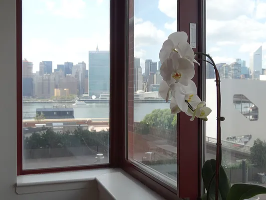 Sold by Nest Seekers International | media 29