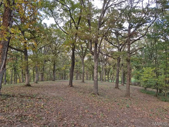 0 Highway D Tract #5A, Eolia, MO 63344
