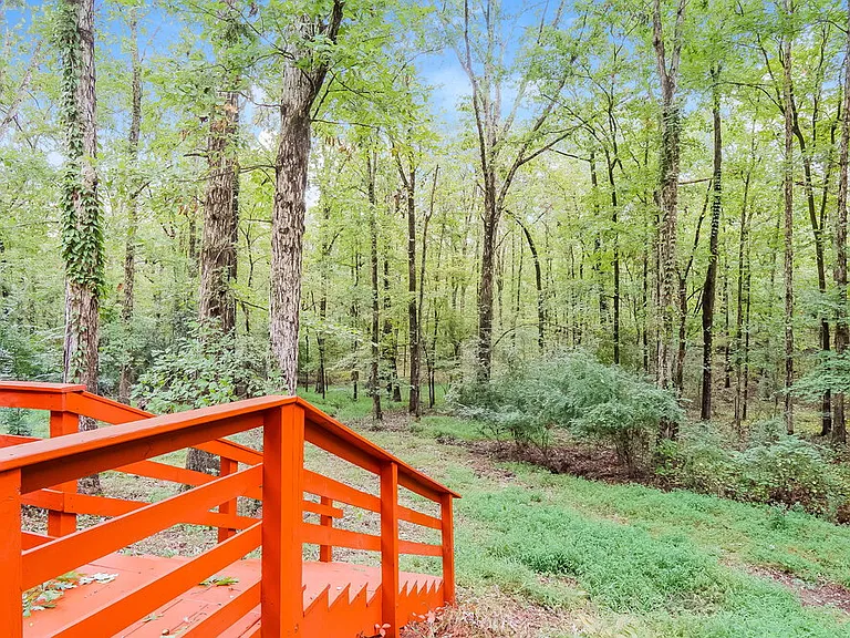 116 Mountain Pkwy — Photo 16