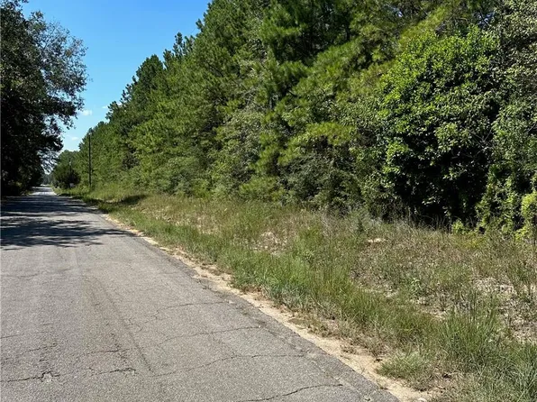 0 Carpenters Bridge Rd, Kinder, LA 70648