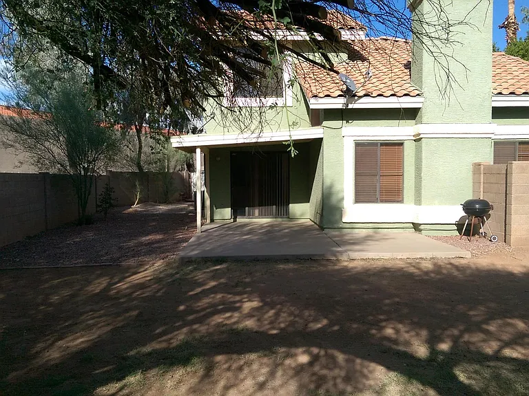 Backyard2
