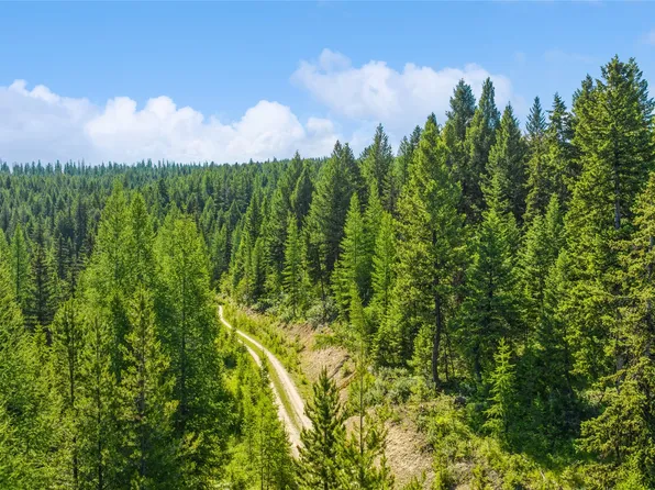 LOT 4 Butcher Creek Rd, Trego, MT 59934
