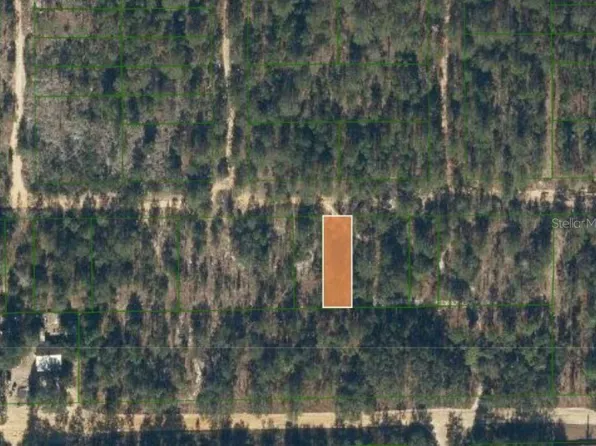 0 Unassigned Rd Lot 60, Interlachen, FL 32148