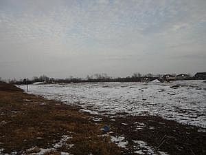 5th image of 3101 Vollmer Rd.