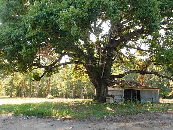 5th image of 2313 County Road 3551