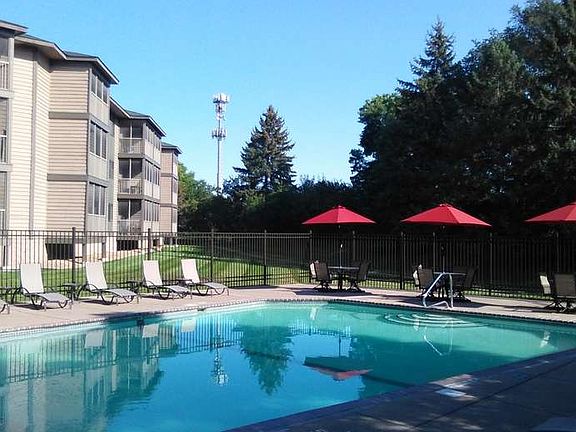Dive in and cool off!