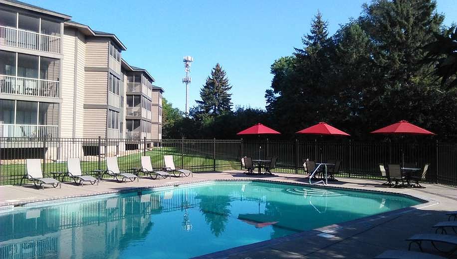 Dive in and cool off!