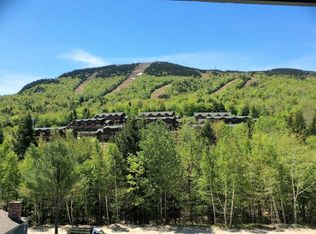 16 Roadrunner Dr #A111, Newry, ME 04261